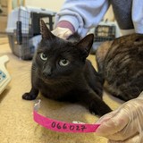 PXL_20250210_145009185.MP