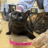 PXL_20250210_145011582