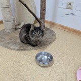 PXL_20250314_165249534