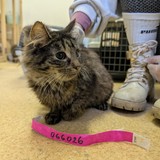 PXL_20250210_144800796