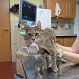 PXL_20250304_174900996