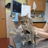 PXL_20250304_174901701