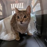 PXL_20250304_173600277