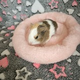 d9ed247d-b14d-4b2e-84f5-b6b4370b8d68