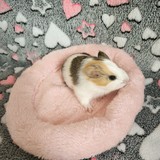 ea7f2a6e-93a4-41ec-a334-429c6efebdf7