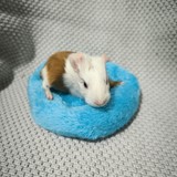 c6805e4d-a4fb-41df-b552-845b86434651