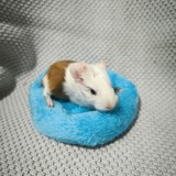 fd3d96b4-d823-41c9-a890-dafd75c709f9