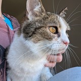 PXL_20250318_113317604