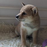 PXL_20250406_125840215.PORTRAIT