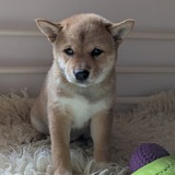 PXL_20250406_125844061.PORTRAIT