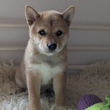 PXL_20250406_125847116.PORTRAIT.ORIGINAL