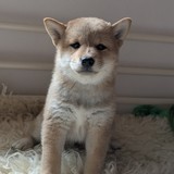 PXL_20250406_130044736.PORTRAIT