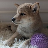 PXL_20250406_130132546.PORTRAIT