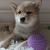 PXL_20250406_130114482.PORTRAIT