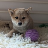 PXL_20250406_130127961.PORTRAIT