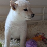 PXL_20250406_124431618.PORTRAIT