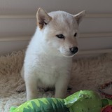 PXL_20250406_124714299.PORTRAIT