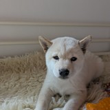 PXL_20250406_124356647