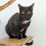 PXL_20250430_094405554