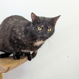 PXL_20250430_094352869