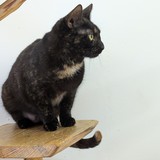 PXL_20250430_094400602