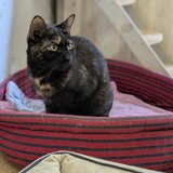 PXL_20250430_094709416~2