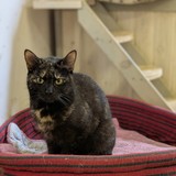 PXL_20250430_094714720.MP~2