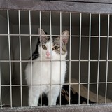 PXL_20250428_082430010.MP