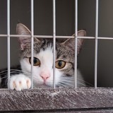 PXL_20250426_093017499_exported_4827