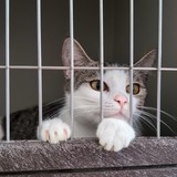 PXL_20250426_093017499_exported_4265