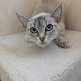 PXL_20250428_083914865