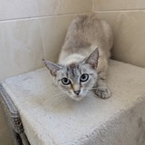 PXL_20250428_083911019