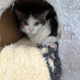 PXL_20250428_084008545