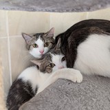 PXL_20250405_154733577