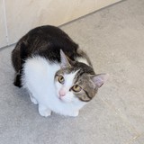 PXL_20250428_084015771