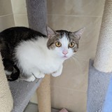 PXL_20250428_084002660.MP