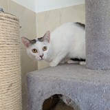 PXL_20250428_083957703