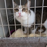 PXL_20250428_082436281