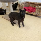 PXL_20250428_083505046