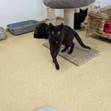 PXL_20250428_083503459