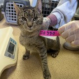 PXL_20250210_144527218