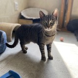 IMG-20250514-WA0020(1)