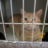 PXL_20250604_094922188.MP