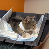 PXL_20250607_094211718.MP