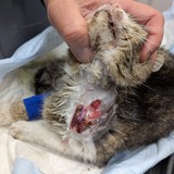 PXL_20250607_112232178