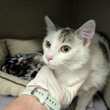 PXL_20250522_140920698