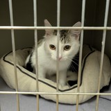 PXL_20250522_141002742