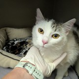 PXL_20250522_140919822.MP