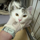 PXL_20250522_140912633.MP