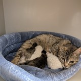 PXL_20250601_153540155